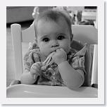 IMG_5570 * 3052 x 3052 * (936KB)