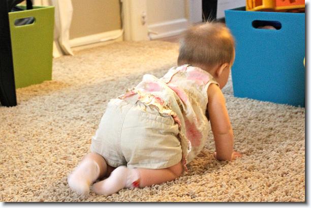 Click for the original image