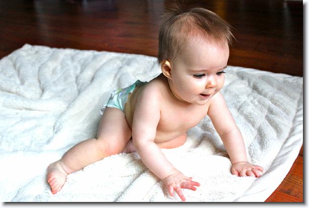 Click for the original image