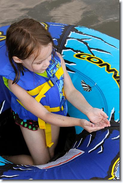 Click for the original image