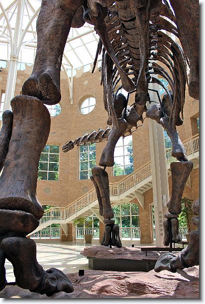 Click for the original image