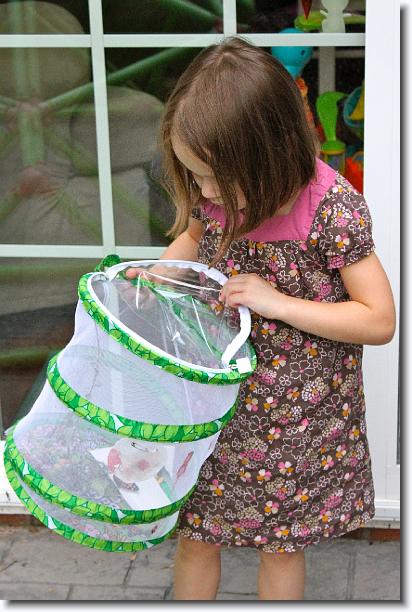 Click for the original image