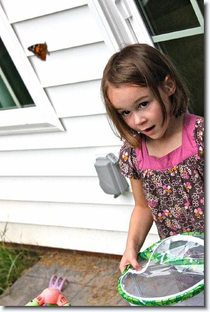 Click for the original image