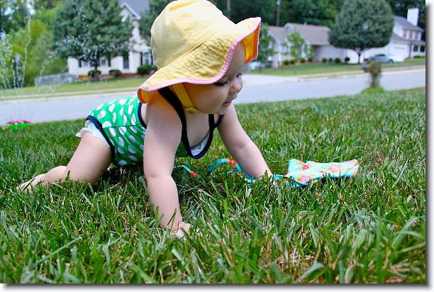 Click for the original image