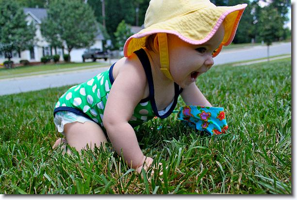 Click for the original image