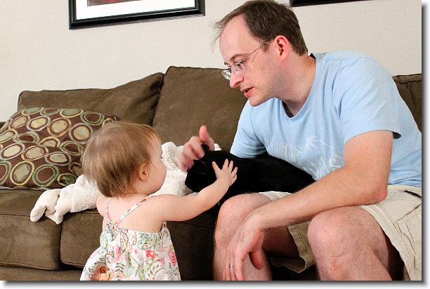 Click for the original image