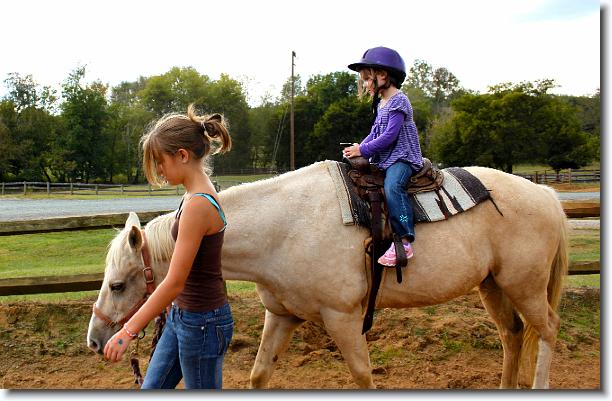 Click for the original image