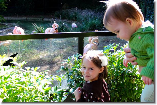 Click for the original image