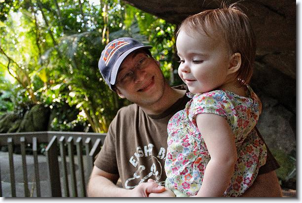 Click for the original image