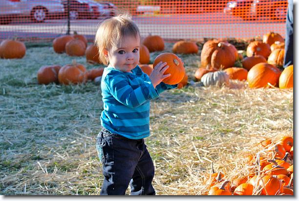 Click for the original image