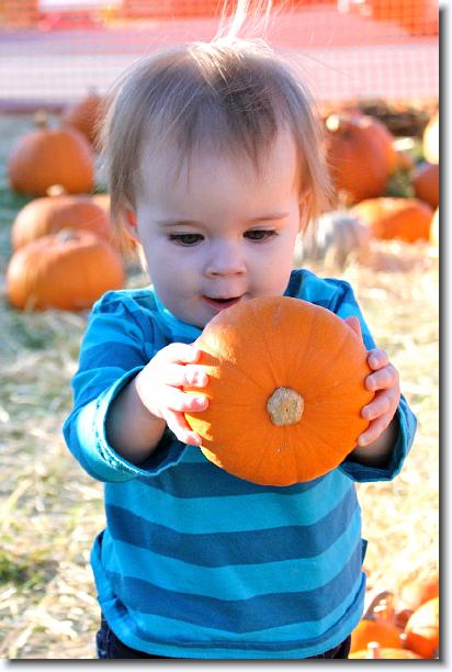 Click for the original image