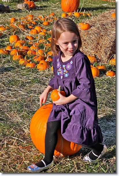 Click for the original image