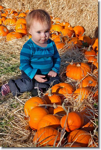 Click for the original image