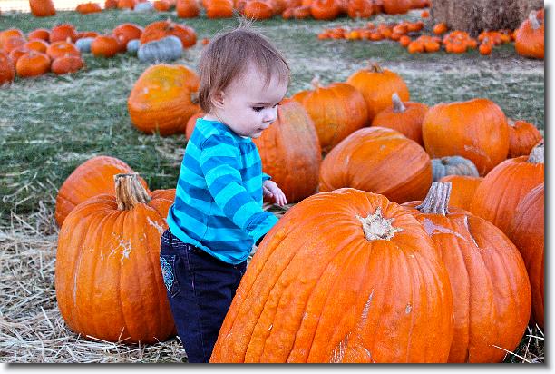 Click for the original image