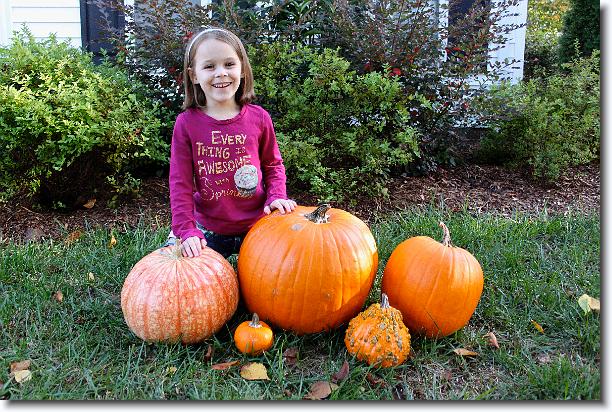 Click for the original image