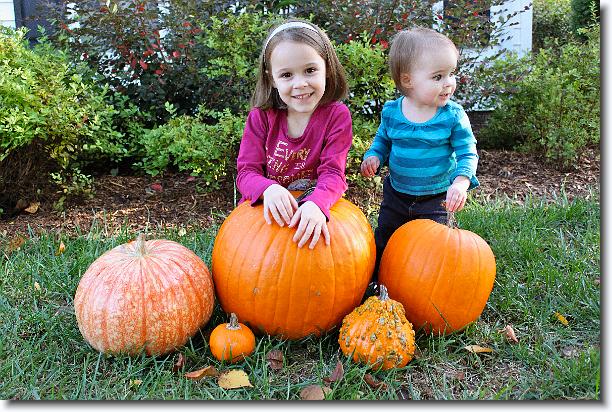 Click for the original image