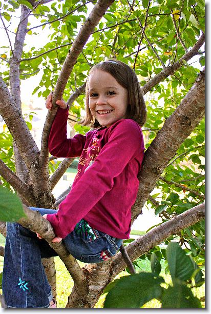 Click for the original image