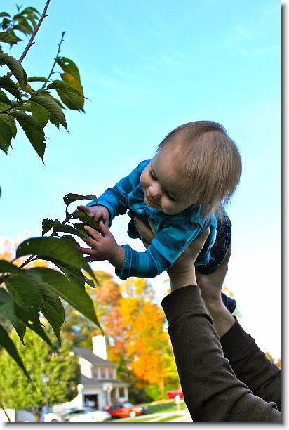 Click for the original image