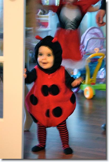 Click for the original image