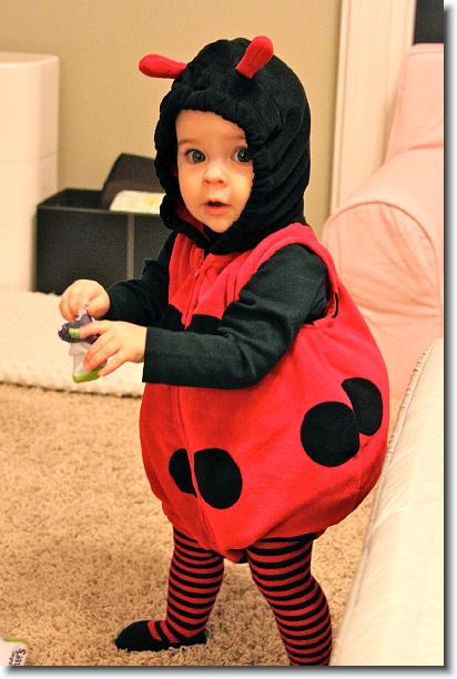 Click for the original image