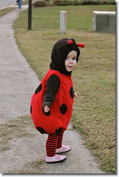 Click for the original image