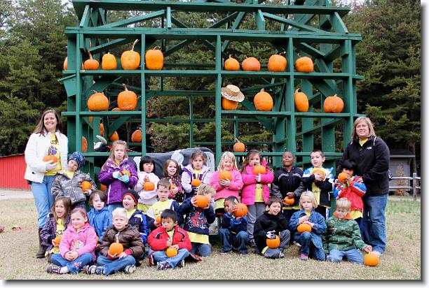 Click for the original image