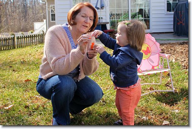 Click for the original image