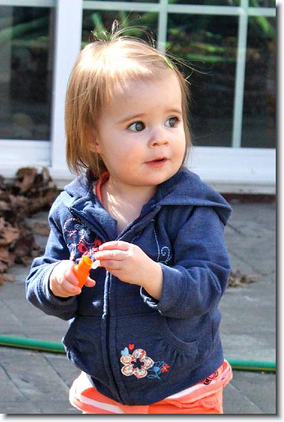 Click for the original image