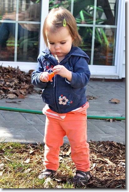 Click for the original image