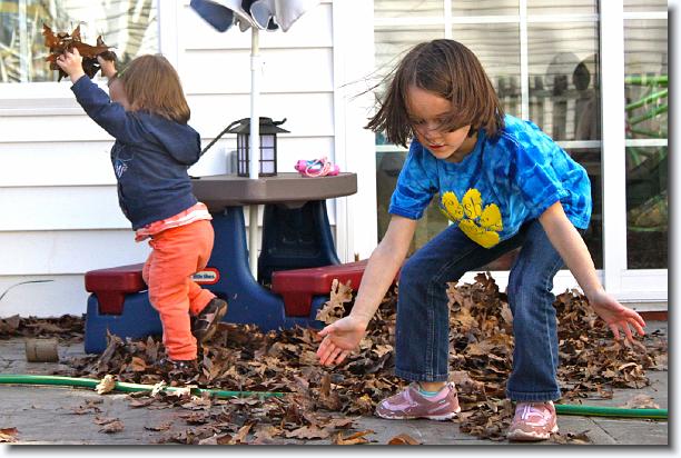 Click for the original image