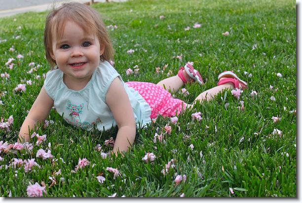 Click for the original image