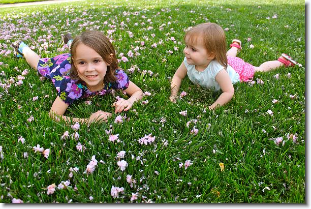 Click for the original image