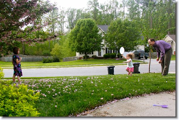 Click for the original image