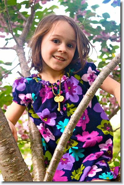 Click for the original image