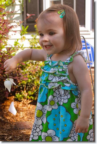 Click for the original image