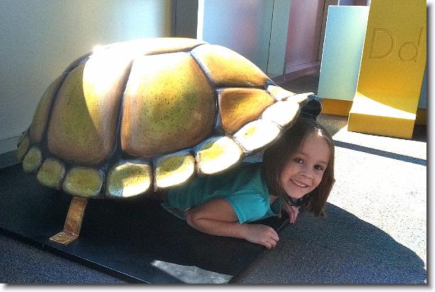 Click for the original image