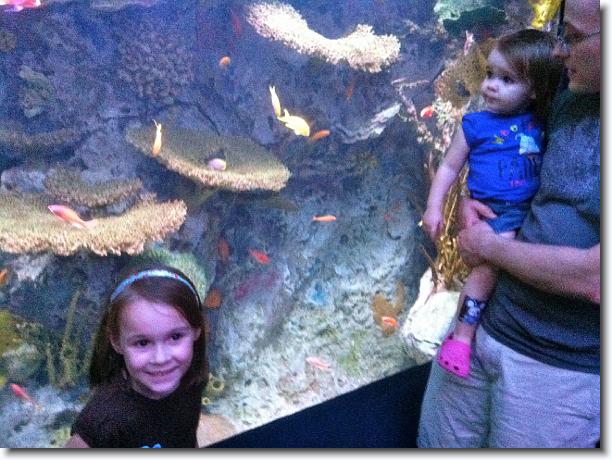 Click for the original image