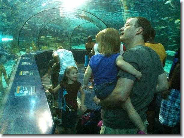 Click for the original image