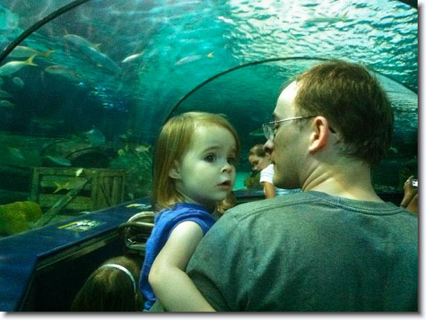 Click for the original image