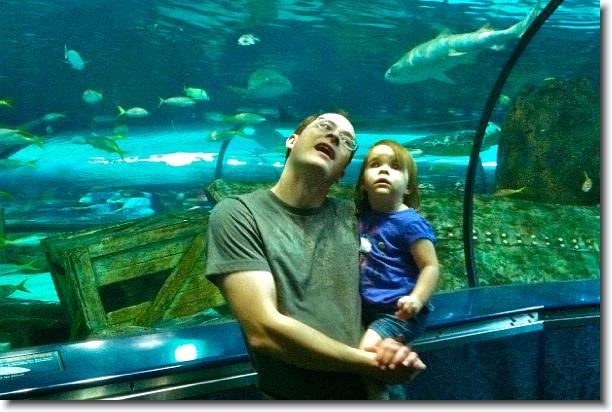 Click for the original image