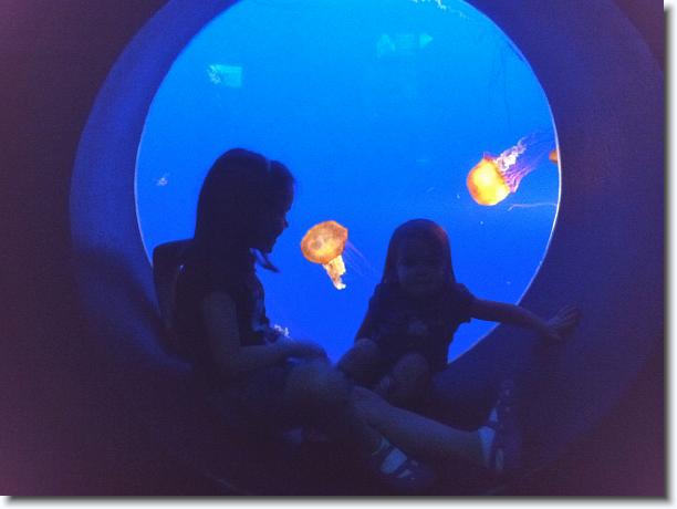 Click for the original image