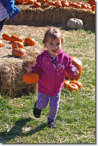 Click for the original image