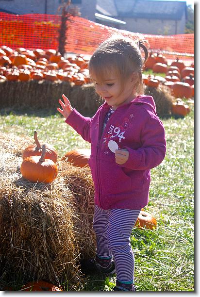 Click for the original image