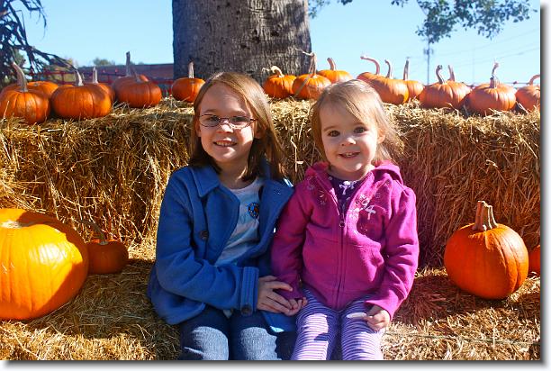 Click for the original image