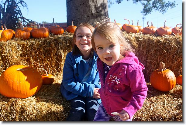 Click for the original image