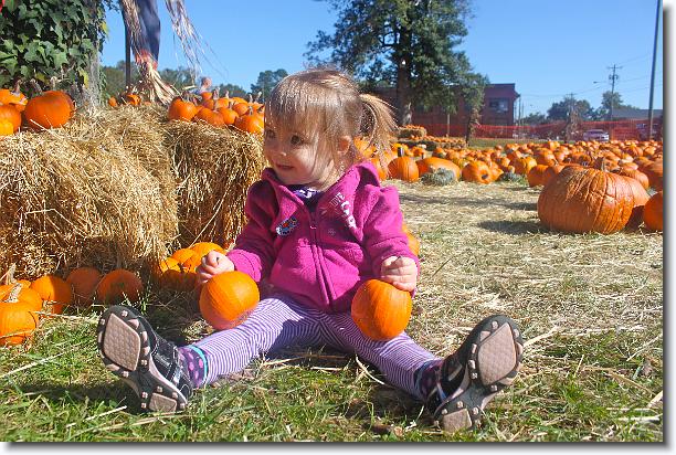 Click for the original image