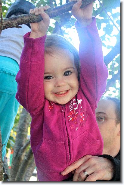 Click for the original image