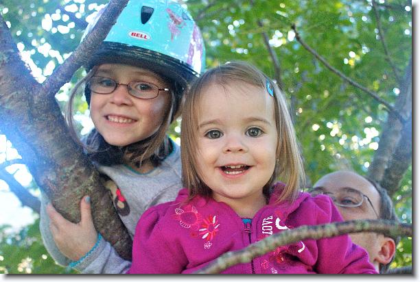 Click for the original image