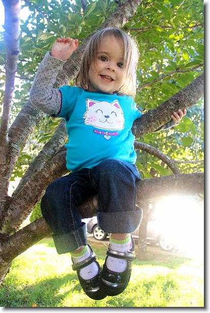 Click for the original image