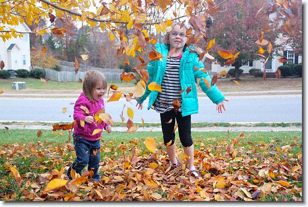 Click for the original image